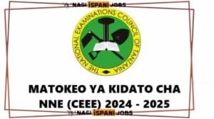 Jinsi ya Kuangalia matokeo ya Kidato cha nne