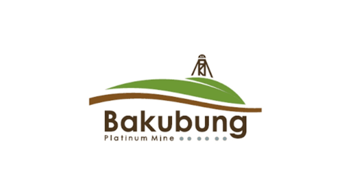 Apply for BPM Bursary Programme 2025